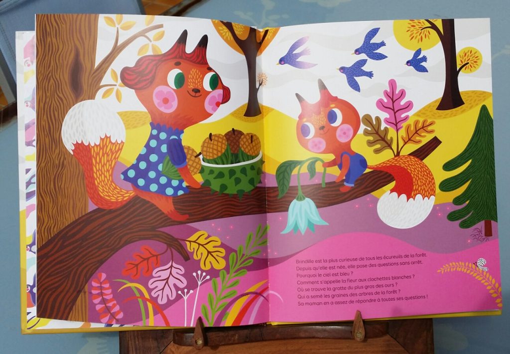 Livre autocollants Le jardin, Ed LITO : Livres pour enfants ÉDITIONS LITO  maison - botanic®